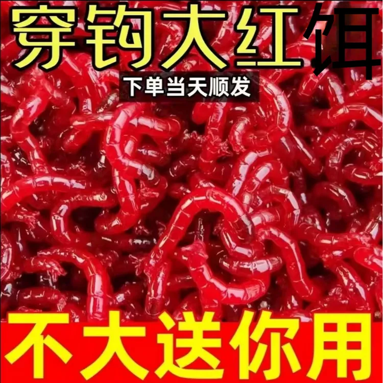 鲜活红虫大号活体饵拉饵喂鱼野钓鲫鱼饵垂钓新鲜大体营养鱼饵红虫