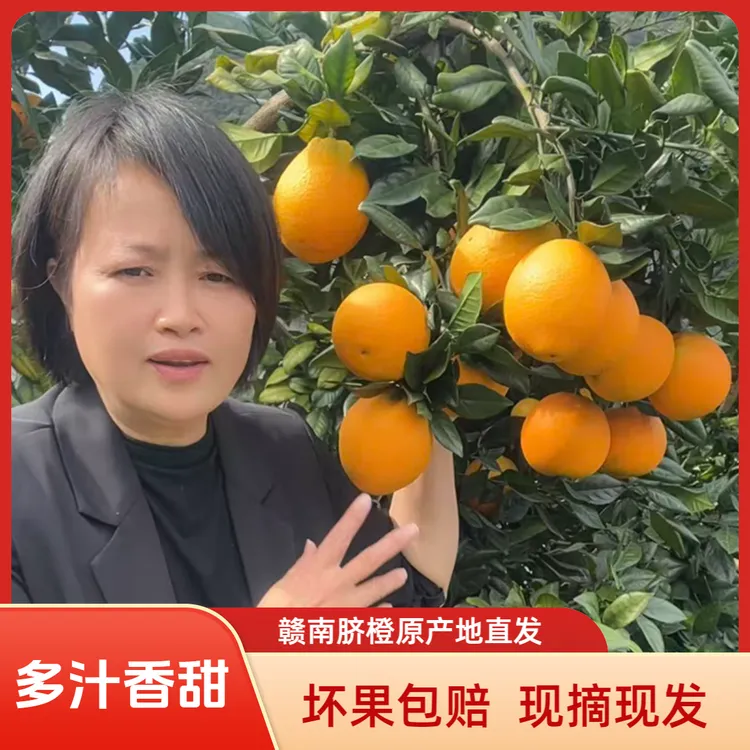 正宗赣南脐橙新鲜现摘多汁香甜应季水果江西赣州原产地直发
