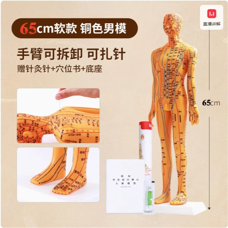 针灸穴位人体模型全身家用中医十二经络图小皮人硅胶扎针练习铜人