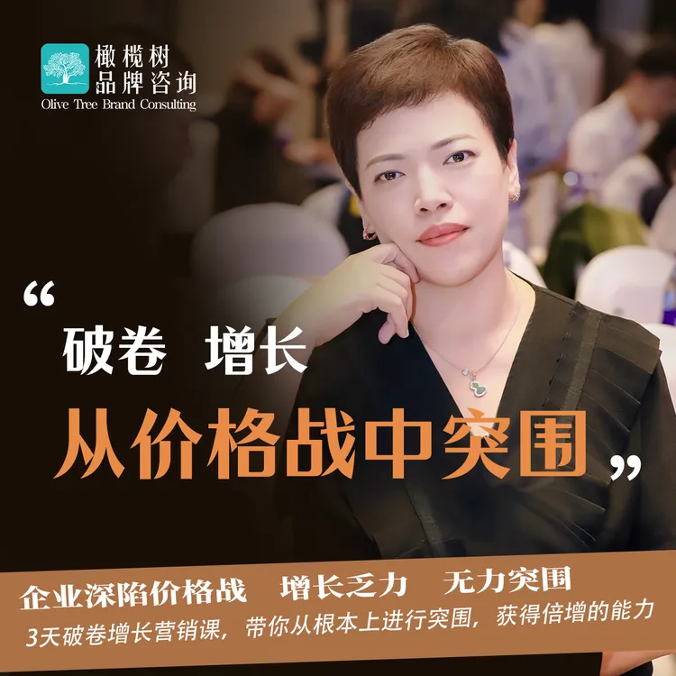 品牌营销必修课——3天学会从价格战中突围