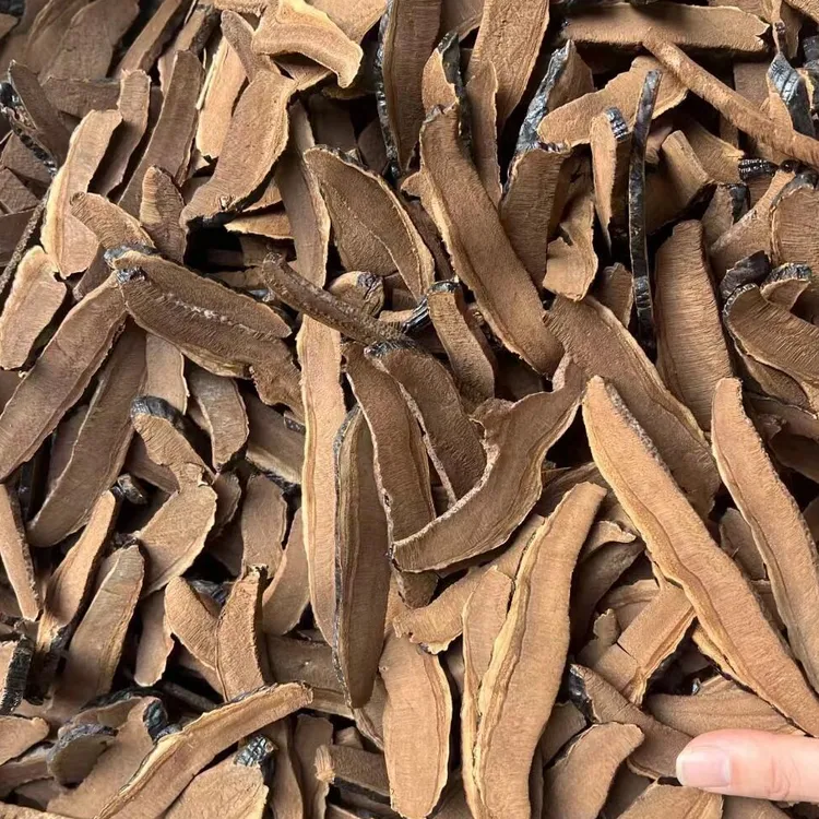 精选芝片250g包邮菌菇