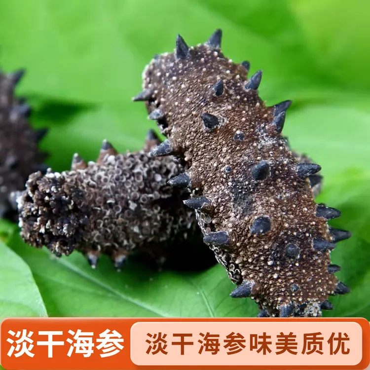 大连干海参肉质肥厚有嚼劲泡发率高营养丰富送礼佳品40-120头/斤