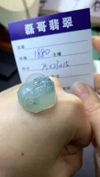 【闪购商品】定制翡翠未镶嵌毛货