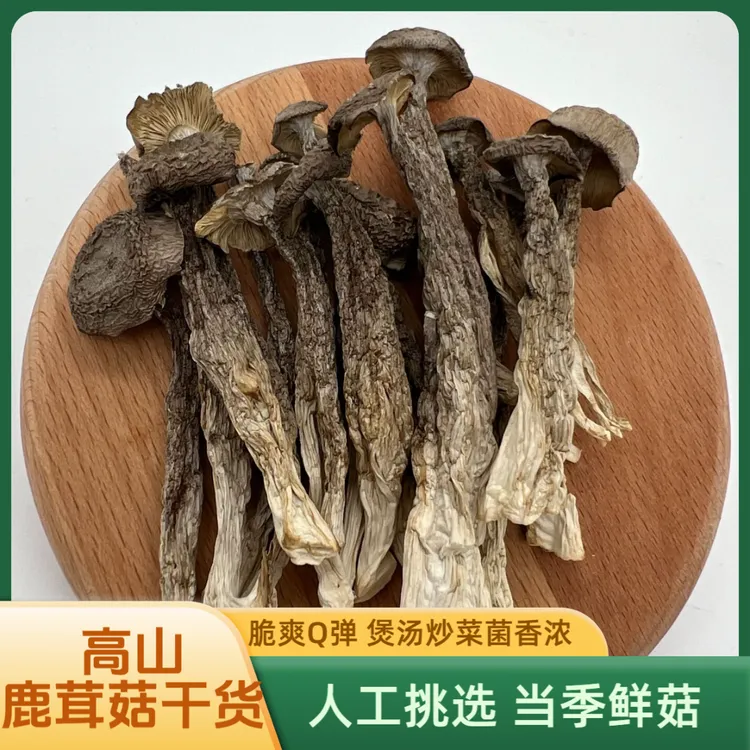高山鹿茸菇精品农特产干货125g*4袋