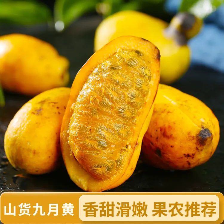 【助农山货】新鲜九月黄水果新鲜八月瓜网红牛卵坨麻藤包木通果甜瓜