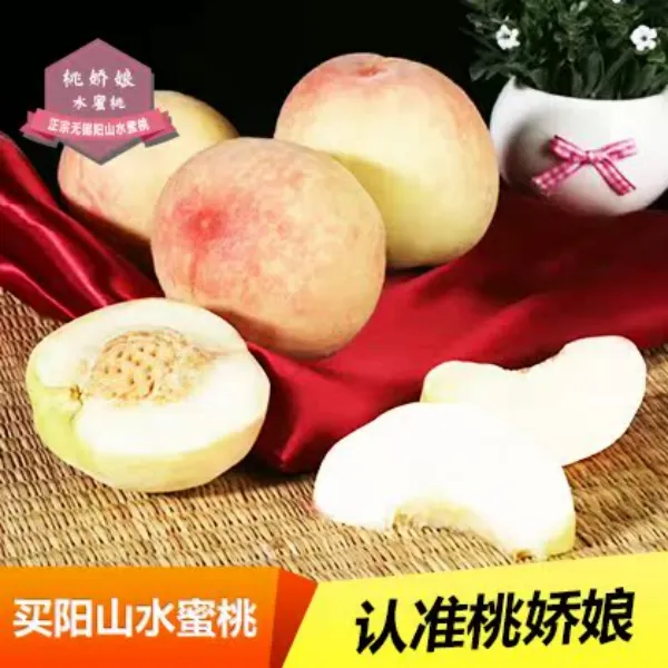 【5-6两】正宗无锡阳山水蜜桃白凤应季新鲜水果现摘现发送礼佳品