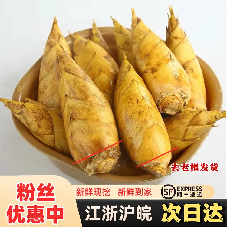 【现挖现卖】浙江临安发货新鲜冬笋大楠竹大竹笋蔬菜火锅食材3斤/起