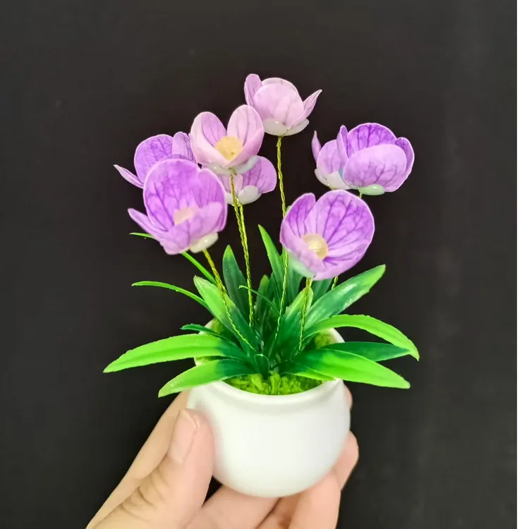   星辰花（小盆栽） 手工 DIY材料包