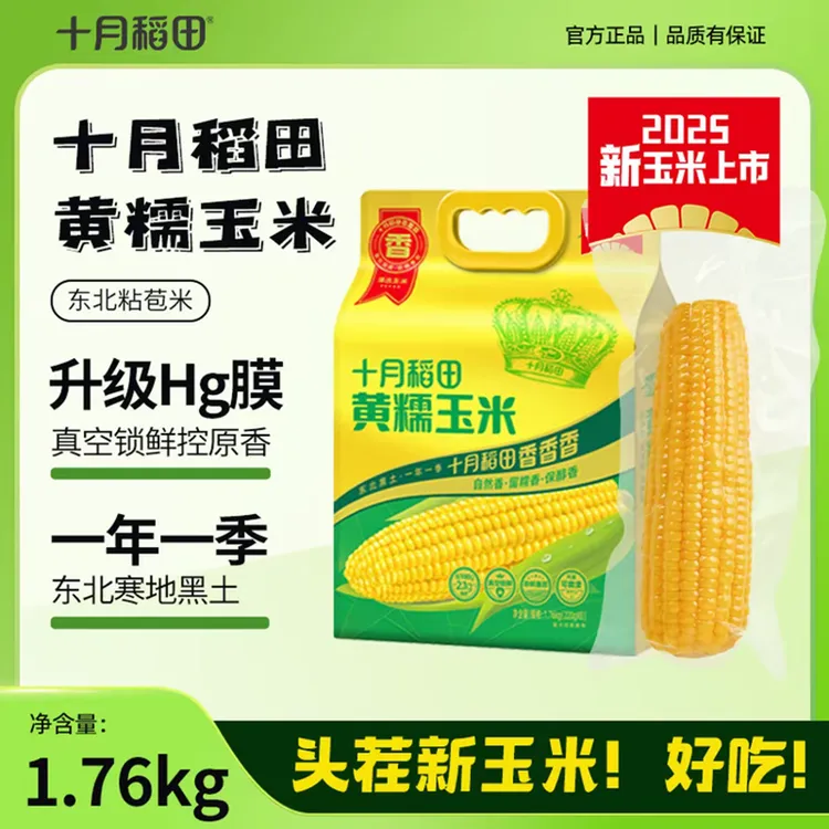 十月稻田黄糯白糯黑糯玉米香甜软糯东北黏苞米粗粮轻食早餐食材