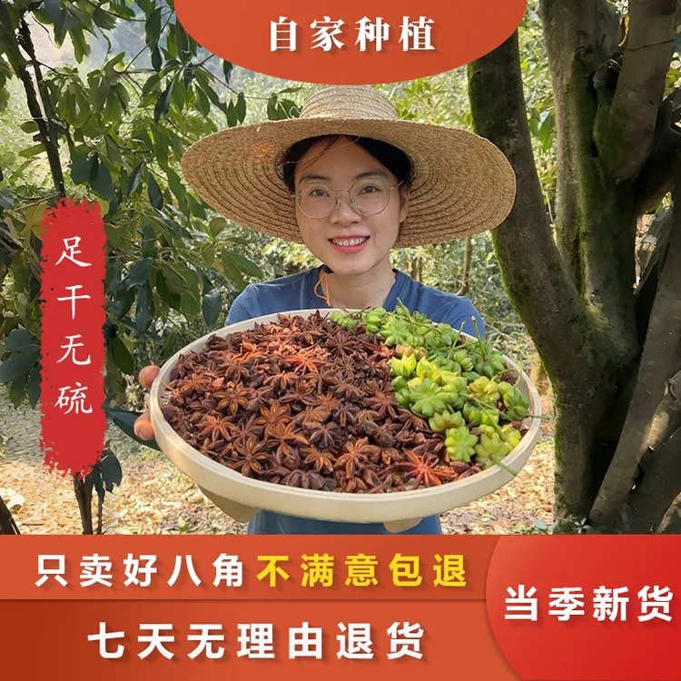 大红八角-广西深山老树八角足干无硫香料调味料（农产品有大有小）