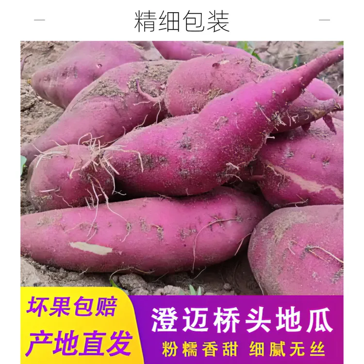 长果（官方授权）海南桥头沙地地瓜生态种植新鲜优质蜜薯桥头地瓜