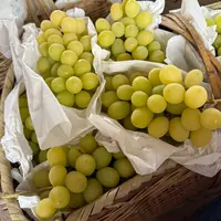 自然成熟阳光玫瑰葡萄现摘现发顺丰包邮平度大泽山葡萄山东省