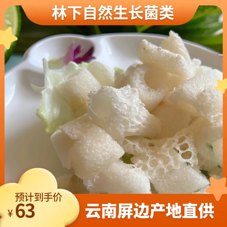 云南屏边林下红托竹荪新鲜美味佳肴/火锅伴侣/竹荪鸡/竹荪火腿