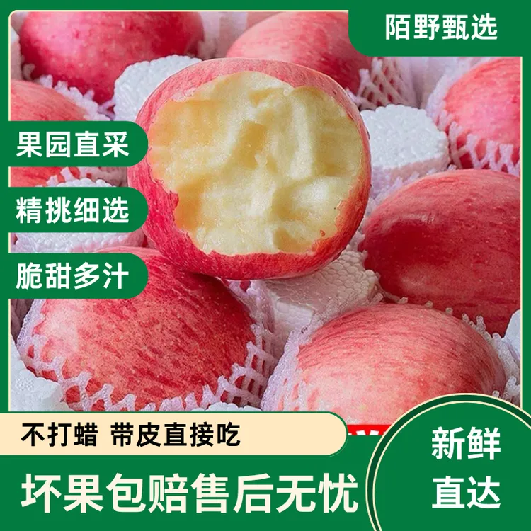 当季现摘正宗山东红富士苹果产地直发脆甜多汁新鲜水果日本