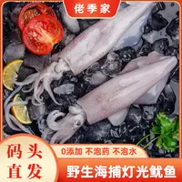 佬季家 连云港当季野生捕捞不缩水  灯光鱿鱼