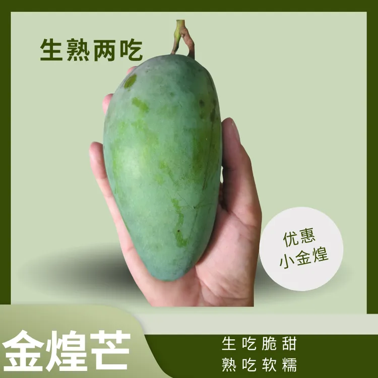 广西百色新鲜现摘小金煌芒当季热带水果皮薄肉厚爆甜多汁