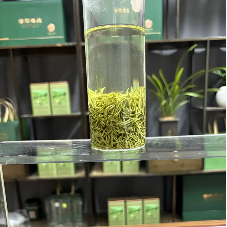 【旱山堂8号】信阳毛尖手工茶高山绿茶浓香型耐泡正宗河南信阳毛尖