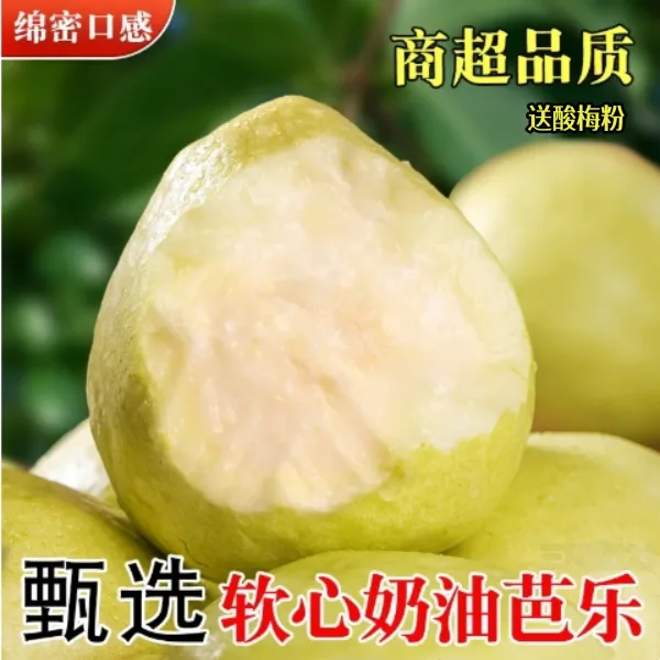 广东精品大果白芭乐脆甜清甜白心新鲜奶油番石榴低糖水果软芭乐果