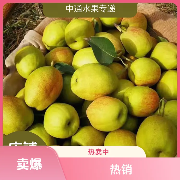 【库尔勒香梨包邮】25年新货现摘大果肉质皮薄汁多无渣纯甜当季水果