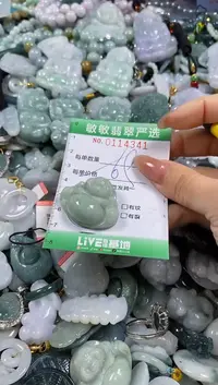 【闪购商品】翡翠颈饰未镶嵌闪购0114341多样性发其一