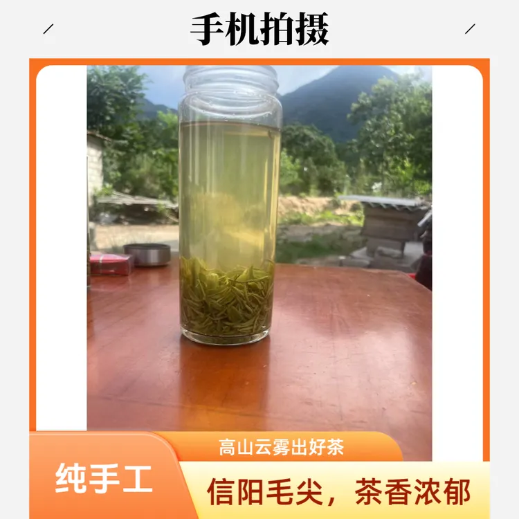 信阳毛尖纯手工明前一芽一叶高山原产地新茶绿茶