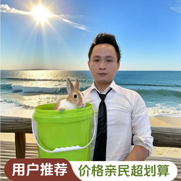 12L圆桶家用加厚耐用耐摔塑料水桶手提带盖学生宿舍垃圾桶中号