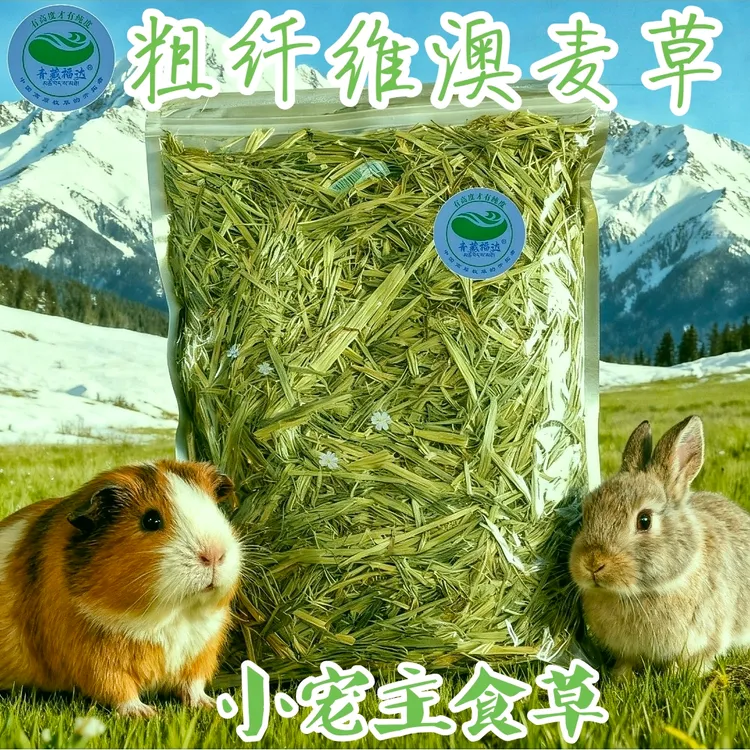 小宠主草头茬粗纤维澳麦草兔子荷兰猪龙猫专用磨牙保健牧草