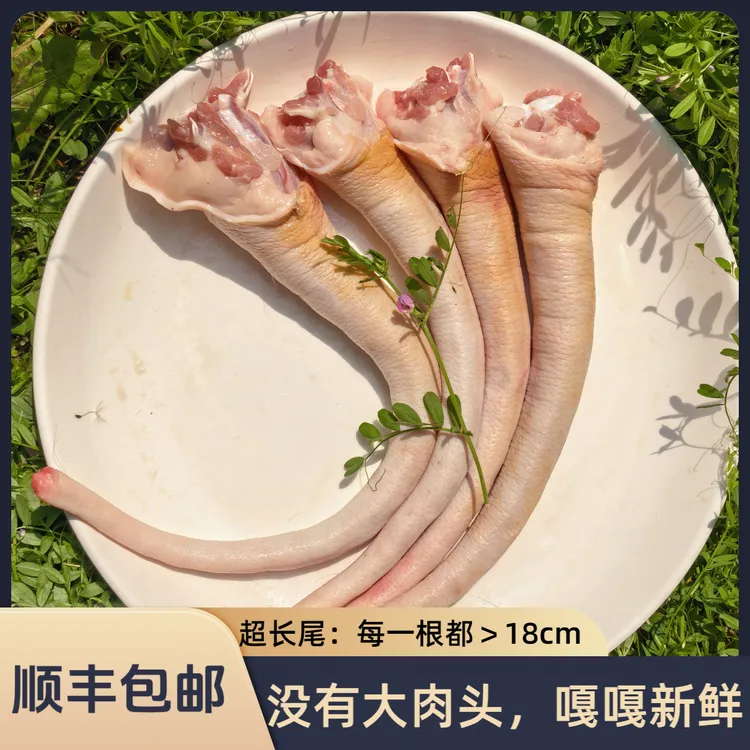 猪猪侠超长猪尾巴生鲜批发新鲜猪尾巴煲汤食材猪尾巴生鲜直播猪蹄