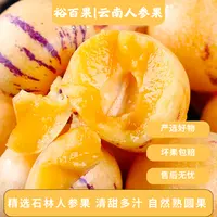 裕百果云南石林人参果新鲜现摘软糯香甜多汁水果S