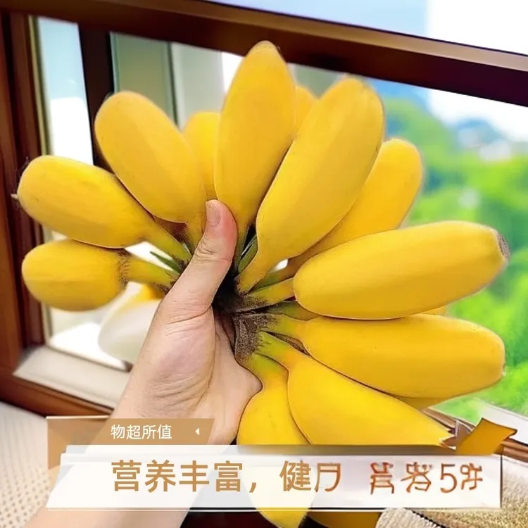 【现摘青果】广东正宗苹果蕉当季糯香甜薄皮新鲜批发青皮香蕉整箱装