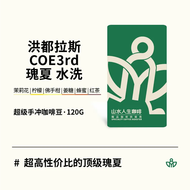 手冲豆 洪都拉斯 COE3rd 瑰夏 水洗 超像翡翠瑰夏 120g 熟豆