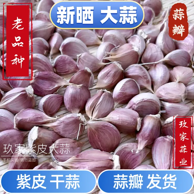 【老品种】紫皮大蒜  蒜瓣 苔蒜 可吃可种 2025年新干蒜 香蒜 蒜