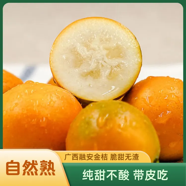 广西融安大果金桔纯甜无酸新鲜现摘纯甜无籽金桔少籽脆皮金柑鲜果