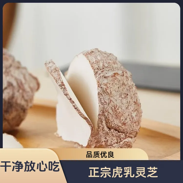 虎乳菌虎乳灵芝甄选优质大个菌核整颗手工切片正宗虎奶菌特级正品
