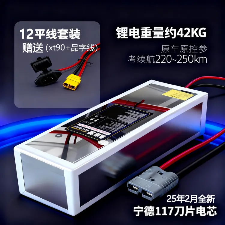 宁德72V117Ah电池九号MZ/NZ/M/E系极核AE4AE5电动车电池