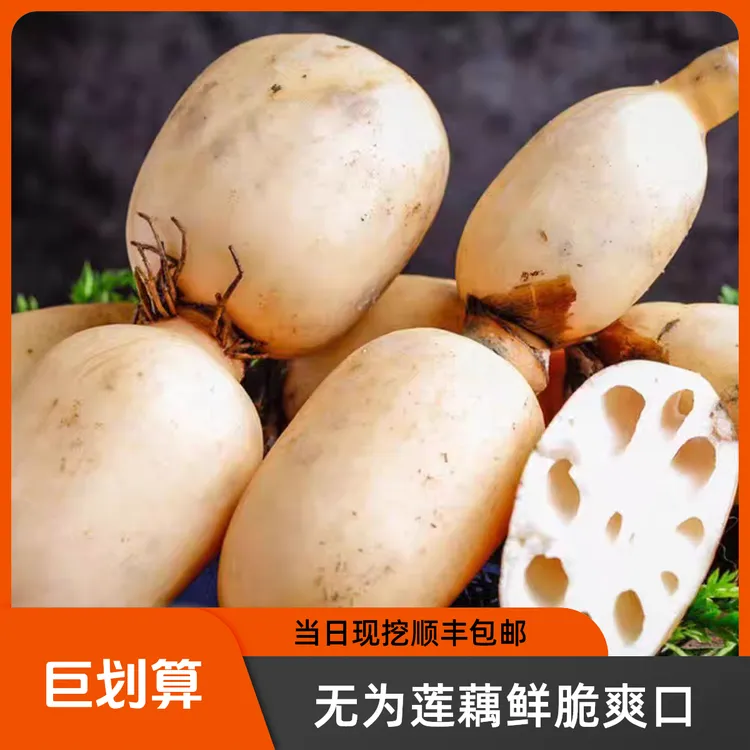 顺丰包邮 无为特产新鲜莲藕当日现挖现发