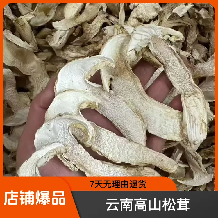 云南高山松茸煲汤佳品