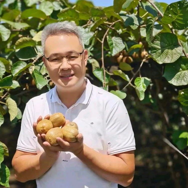 【王叫兽】陕西翠香猕猴桃香甜可口皮薄肉厚新鲜应季水果坏果包赔