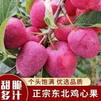 东北特产鸡心果锦绣海棠脆甜多汁新鲜采摘包邮
