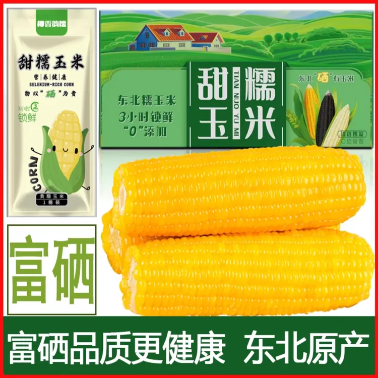 【柳香韵糯】【可试吃2只】长白山 富硒 鲜食黄糯玉米 铝箔真空 8只装