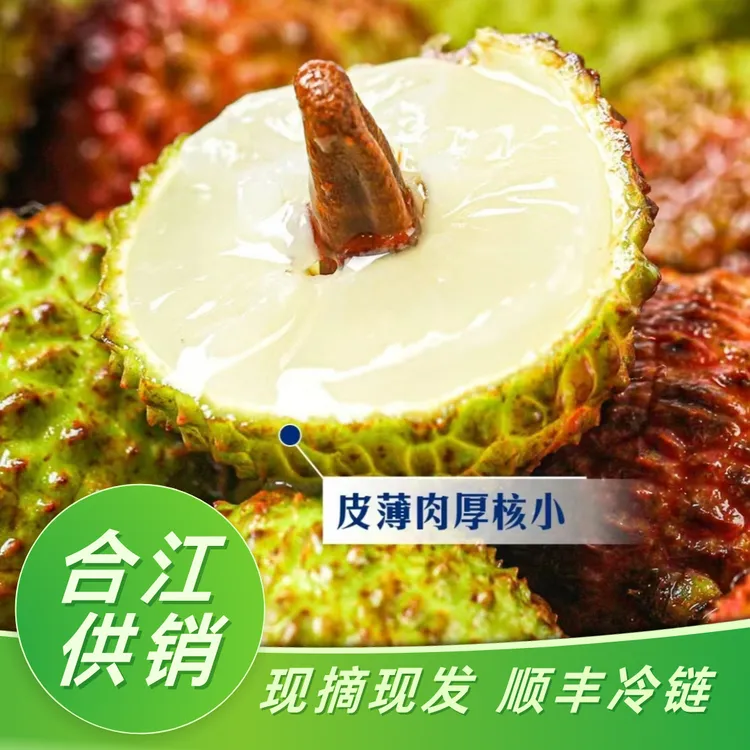 合江妃子笑荔枝新鲜现摘现发皮薄多汁当季水果（川渝顺丰包邮）