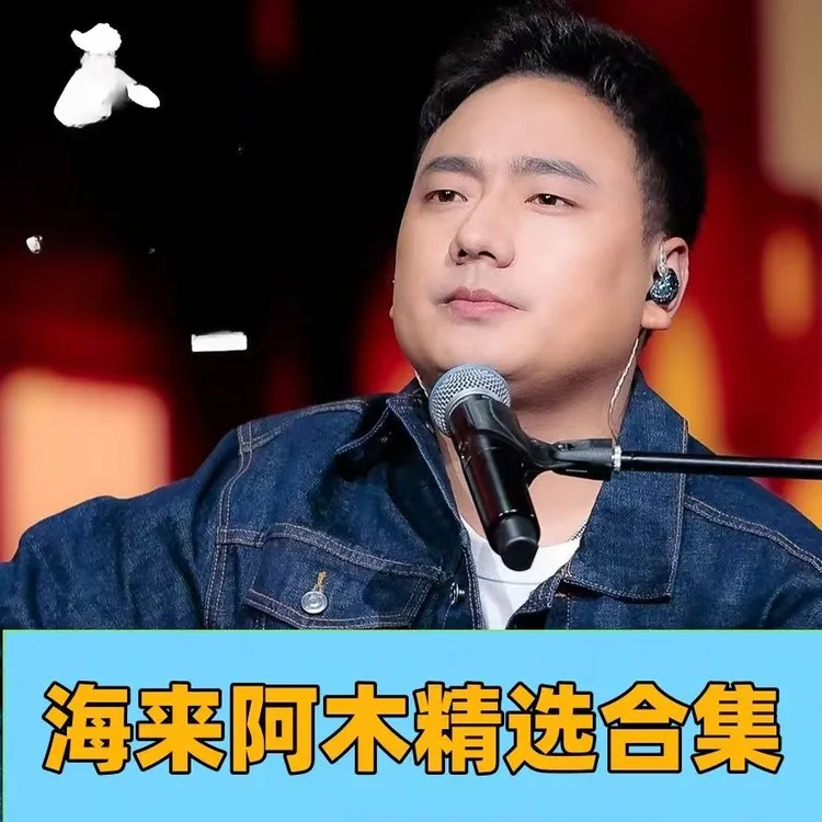 海来阿木U盘音乐专辑新歌精选全集全部原声无损高音质汽车载优盘