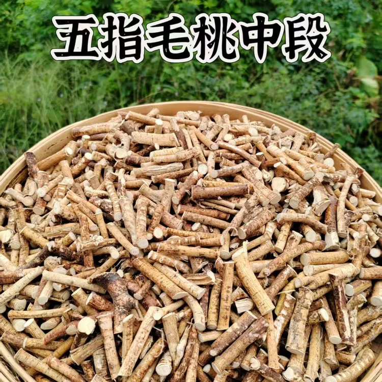 广西农家正宗【五指毛桃小中段】煲汤煮水绿色食材