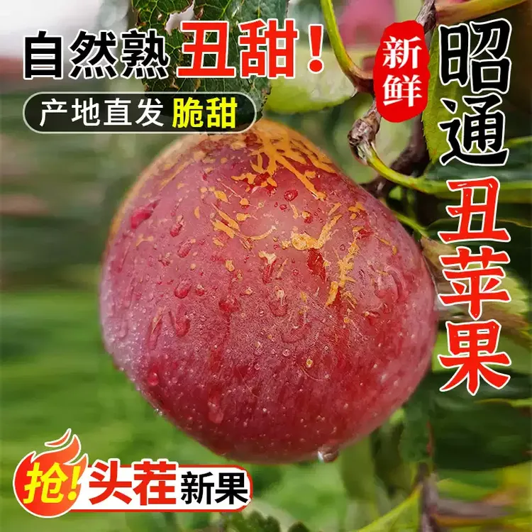 25年大果新糖心丑苹果包邮快递苹果云南昭通冰糖心水果当季冬天