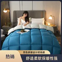 孤品清仓/200*230双人被子加大秋冬被