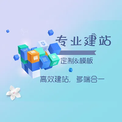 企业官网专业网站商城小程序搭建一条龙服务