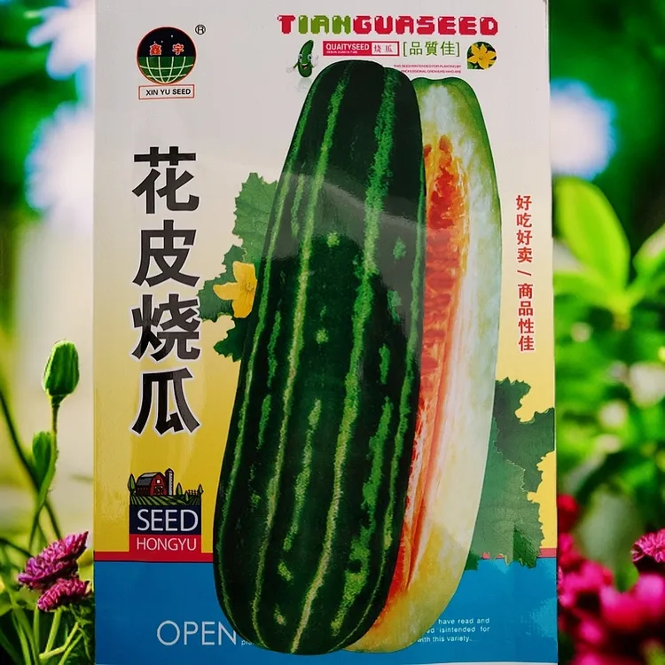甜面花皮烧瓜种子