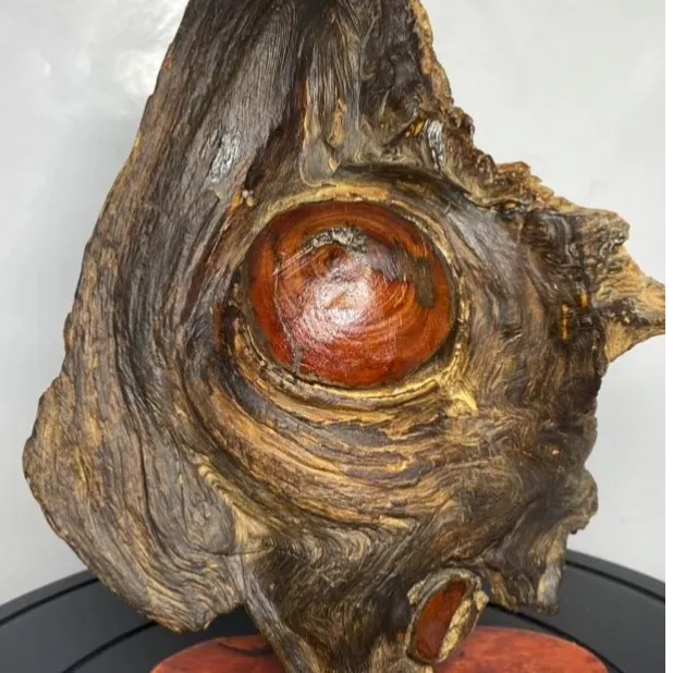 一物一拍风化木老物件木艺树根海黄原木玖江居木海南琥珀木黄花梨