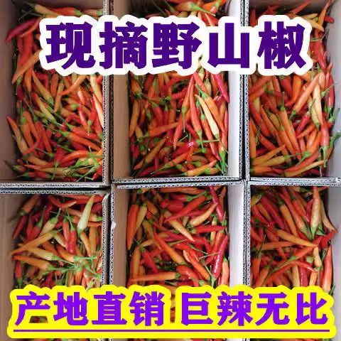 新鲜超辣小米辣野山椒魔鬼辣红黄泡椒剁椒朝天椒特辣指天椒3/5/斤