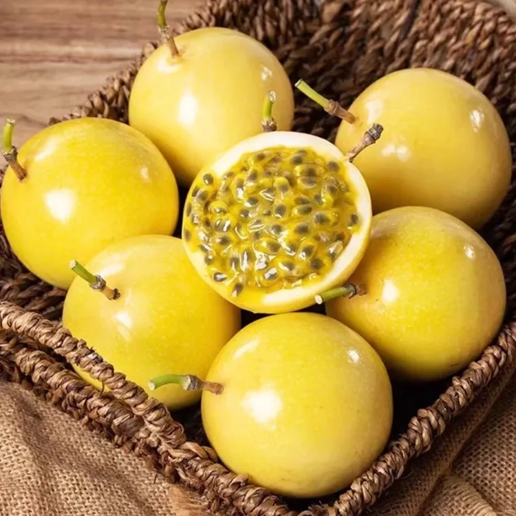【广西钦蜜九号】黄金百香果当季时令赠开果黄金百香果当季爆甜黄金